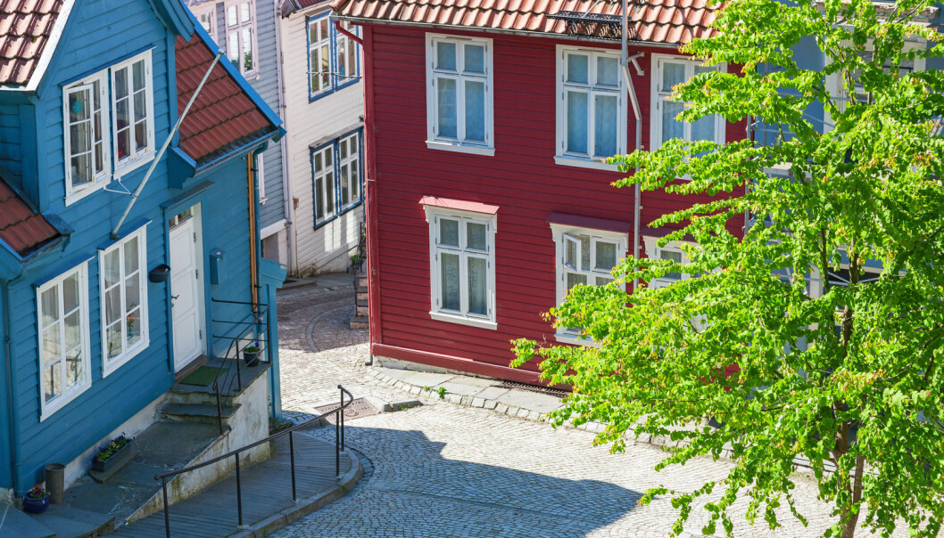 Har noen tenkt på hva dette treet i Bergen gjør med helsa til bergenserne? Fint er det, i hvert fall. (Foto: TTphoto / Shutterstock / NTB scanpix) Har noen tenkt på hva dette treet i Bergen gjør med helsa til bergenserne? Fint er det, i hvert fall. (Foto: TTphoto / Shutterstock / NTB scanpix)