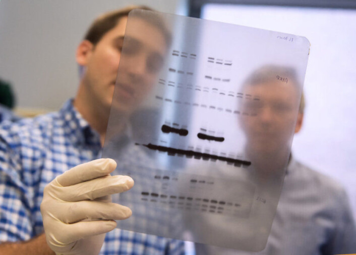 To av forskerne i den amerikanske gruppen som fant at en genetisk mutasjon kan ha gjort oss mennesker langt mer tolerante overfor røyk enn neandertalerne var. (Foto: Patrick Mansell) To av forskerne i den amerikanske gruppen som fant at en genetisk mutasjon kan ha gjort oss mennesker langt mer tolerante overfor røyk enn neandertalerne var. (Foto: Patrick Mansell)
