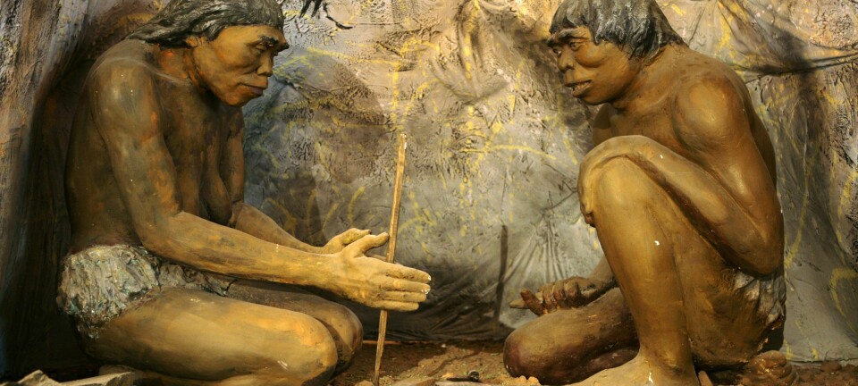 To tidlige mennesker (Homo erectus) gjør opp ild. Disse to sitter nå i det historiske museet i Ulaanbaatar i Mongolia.  (Foto: Nathan McCord, Wikimedia Commons)