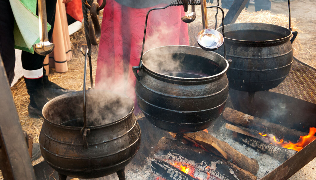 Hvis vikingene kunne dyrke druer, har de – i teorien – kunnet lage sin egen vin. Hittil har man trodd at all vin i vikingtiden var importert. (Foto: Elena Dijour / Shutterstock / NTB scanpix) Hvis vikingene kunne dyrke druer, har de – i teorien – kunnet lage sin egen vin. Hittil har man trodd at all vin i vikingtiden var importert. (Foto: Elena Dijour / Shutterstock / NTB scanpix)