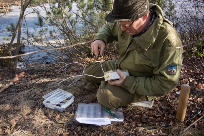 Det er mye utstyr som skal på plass for å registrere vandrende salamandere. I år gikk heldigvis montering og testing etter planen. (Foto: Børre K. Dervo ©) Det er mye utstyr som skal på plass for å registrere vandrende salamandere. I år gikk heldigvis montering og testing etter planen. (Foto: Børre K. Dervo ©)