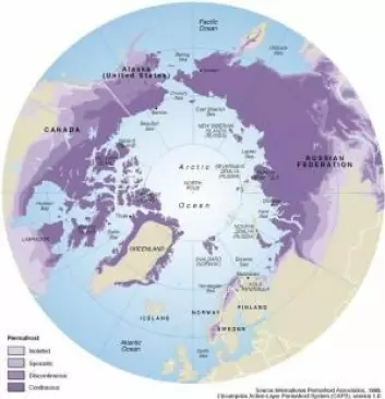 De mørkelilla områdene har permafrost nesten overalt, mens de lysere lillafargene har mer spredt permafrost. (Foto: (Kart fra: Philippe Rekacewicz/International Permafrost Association))