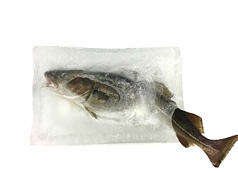 Frossenfisk: Fra fremtidsmat til dårlig rykte – og tilbake igjen?