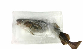 Frossenfisk: Fra fremtidsmat til dårlig rykte – og tilbake igjen?