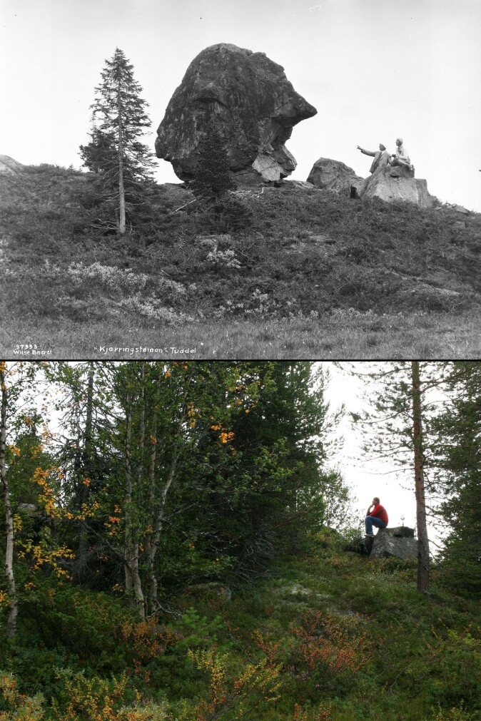 Da utmarksbruken opphørte ble Kjerringsteinen i Tuddal gradvis gjemt og glemt ettersom kratt og trær vokste til. Øverst et bilde fra 1931. Nederst et bilde fra 2008. (Foto: Anders Beer Wilse, Norsk Folkemuseum og Oskar Puschmann, Skog og landskap, lastet ned fra Tilbakeblikk.no, CC BY-NC-ND 3.0) Da utmarksbruken opphørte ble Kjerringsteinen i Tuddal gradvis gjemt og glemt ettersom kratt og trær vokste til. Øverst et bilde fra 1931. Nederst et bilde fra 2008. (Foto: Anders Beer Wilse, Norsk Folkemuseum og Oskar Puschmann, Skog og landskap, lastet ned fra Tilbakeblikk.no, CC BY-NC-ND 3.0)