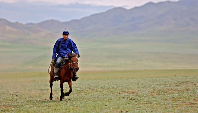 Hesten er en viktig del av den mongolske tradisjonen også i dag. (Foto: PD Tillmann/Wikimedia Commons CC 2.0) Hesten er en viktig del av den mongolske tradisjonen også i dag. (Foto: PD Tillmann/Wikimedia Commons CC 2.0)