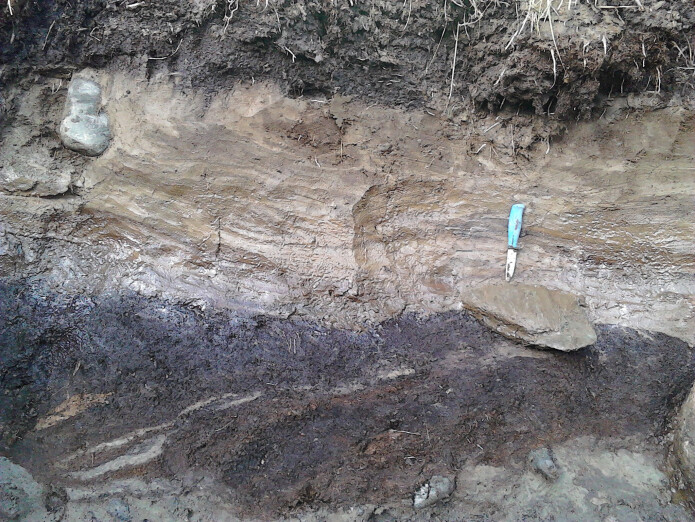 Snitt i ei grøft tvers over Stuoragurra-forkastningen ved Masi. Bildet viser en 50-60 centimeter tykk serie med lagdelt sand mellom dagens torv på toppen og et begravd torvlag under. Dateringsprøver fra toppen av den begravde torva viser at forkastningen har skjedd etter cirka 6300 år før nåtid. (Foto: Lars Olsen) Snitt i ei grøft tvers over Stuoragurra-forkastningen ved Masi. Bildet viser en 50-60 centimeter tykk serie med lagdelt sand mellom dagens torv på toppen og et begravd torvlag under. Dateringsprøver fra toppen av den begravde torva viser at forkastningen har skjedd etter cirka 6300 år før nåtid. (Foto: Lars Olsen)