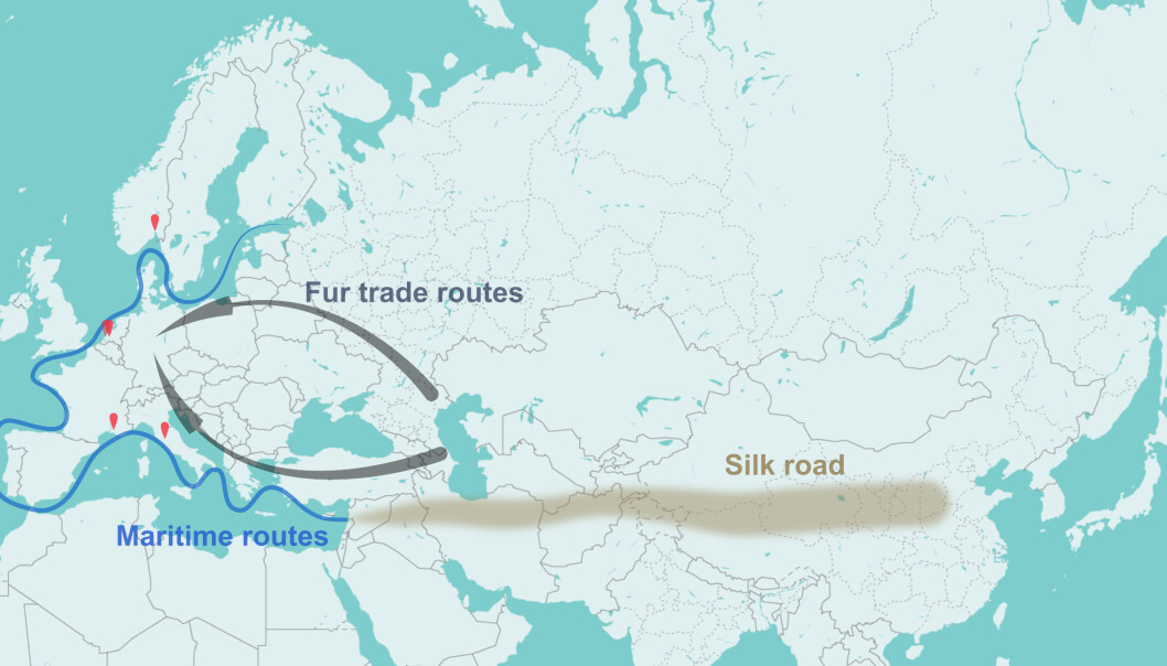 Dyrepelser fra Sentral-Asia og de østligste delene av Europa ble fraktet vestover langs to ruter under middelalderen. Den sørlige ruten ble støttet av Den gylne horde, mens den nordlige ruten ble dominert av Hansaforbundet. (Illustrasjon: Av Amine Namouchi) Dyrepelser fra Sentral-Asia og de østligste delene av Europa ble fraktet vestover langs to ruter under middelalderen. Den sørlige ruten ble støttet av Den gylne horde, mens den nordlige ruten ble dominert av Hansaforbundet. (Illustrasjon: Av Amine Namouchi)