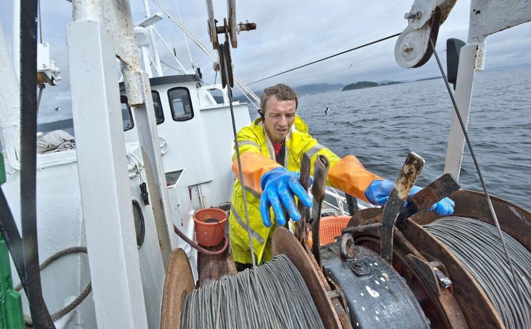 Store mengder død fisk dukket opp i trålen til Geir Solhaug. Det hadde den erfarne fiskeren aldri opplevd før i Oslofjorden. Bildet er tatt ved en annen anledning. (Foto: Christian Clausen) Store mengder død fisk dukket opp i trålen til Geir Solhaug. Det hadde den erfarne fiskeren aldri opplevd før i Oslofjorden. Bildet er tatt ved en annen anledning. (Foto: Christian Clausen)