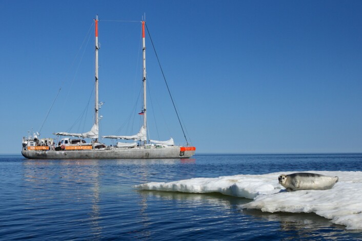 Forskningsskipet «Tara» seiler rundt i Arktis på jakt etter plast. (Foto: Anna Deniaud, Tara Expeditions Foundation) Forskningsskipet «Tara» seiler rundt i Arktis på jakt etter plast. (Foto: Anna Deniaud, Tara Expeditions Foundation)