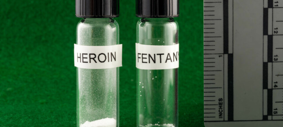 Til venstre er en dødelig dose heroin, til høyre en ser du en dødelig dose med fentanyl.  (Foto: New Hampshire State Police / Oslo Universitetssykehus / NTB scanpix)