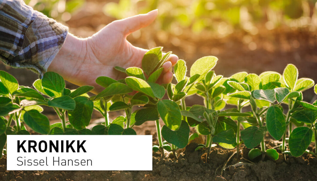 – Landbruket påvirker miljøet på flere måter. Ressursbruk, energibruk, utslipp av miljøgifter og klimagasser, biologisk mangfold, karbonlagring i jord, miljøgifter i mat er noen stikkord, skriver kronikkforfatteren. (Illustrasjonsfoto: Shutterstock / NTB scanpix) – Landbruket påvirker miljøet på flere måter. Ressursbruk, energibruk, utslipp av miljøgifter og klimagasser, biologisk mangfold, karbonlagring i jord, miljøgifter i mat er noen stikkord, skriver kronikkforfatteren. (Illustrasjonsfoto: Shutterstock / NTB scanpix)