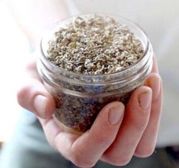 - De syntetiske cannabinoidene har generelt sterkere effekter enn THC og et større skadepotensial, skriver artikkelforfatterne. (Foto: G.W. Pomeroy / Det amerikanske forsvarsdepartementet) - De syntetiske cannabinoidene har generelt sterkere effekter enn THC og et større skadepotensial, skriver artikkelforfatterne. (Foto: G.W. Pomeroy / Det amerikanske forsvarsdepartementet)