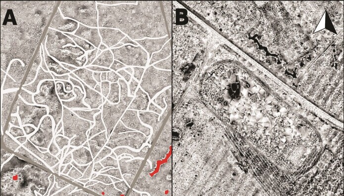 Spor etter soldater ved basene. Til høyre ser du rester etter en forball- og løpsbane ved en av de polske basene. (Bilde: Kiarszys/Antiquity 2019) Spor etter soldater ved basene. Til høyre ser du rester etter en forball- og løpsbane ved en av de polske basene. (Bilde: Kiarszys/Antiquity 2019)