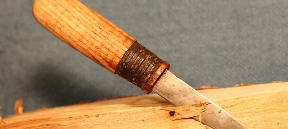 I vikingtiden var det sannsynligvis normalt for de små å arbeide med skarpe kniver, mener arkeologer. Her en kopi av en kniv fra et «skolebarn» fra vikingtiden.  (Foto: Michael Nielsen)