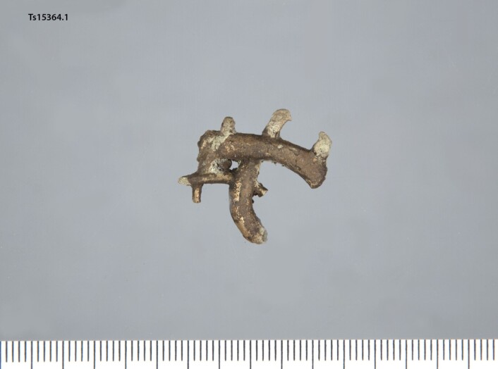 Figur 2: Fragment av urnesspenne fra Meløy kommune. Foto: Tromsø Museum - Universitetsmuseet. Fotograf: Yang Sook Koh. Figur 2: Fragment av urnesspenne fra Meløy kommune. Foto: Tromsø Museum - Universitetsmuseet. Fotograf: Yang Sook Koh.