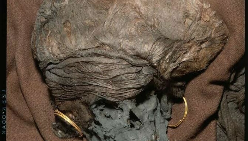 Skrydstrup-kvinnen ble funnet i en gravhaug nær Vojens i 1935. Sammen med Egtved-jenta er hun et av de mest godt bevarte funnene fra bronsealderens særpregede eikekistegraver.  (Foto: Nationalmuseet)