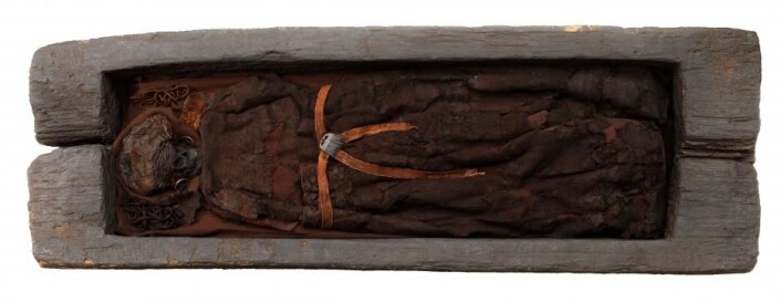 CT-skanningene avslørte også at Skrydstrup-kvinnen er svært godt bevart, noe som ofte er tilfellet for bronsealderens eikekistegraver. (Foto: Nationalmuseet) CT-skanningene avslørte også at Skrydstrup-kvinnen er svært godt bevart, noe som ofte er tilfellet for bronsealderens eikekistegraver. (Foto: Nationalmuseet)