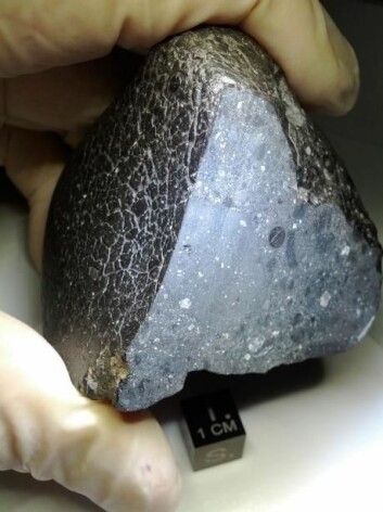 Forskere fra Statens Naturhistoriske Museum i København har nylig kjøpt en berømt og sjelden meteoritt fra Mars. (Foto: NASA)