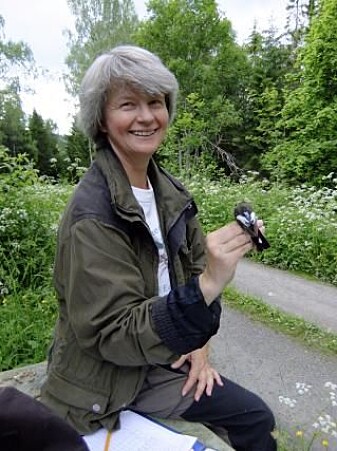 Helene Lampe er professor ved Universitetet i Oslo.(Foto: Privat) Helene Lampe er professor ved Universitetet i Oslo.(Foto: Privat)