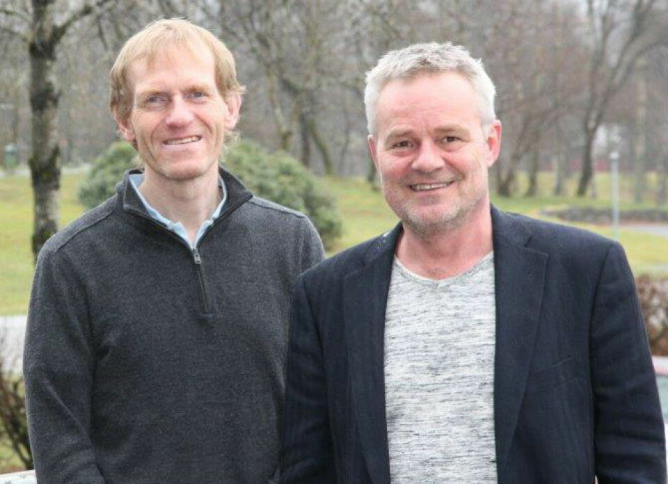 Lars Kyte (t.v.) og Ole Kleiven er to av forskarane bak undersøkinga. (Foto: Hans Jakob Reite/Høgskulen på Vestlandet)