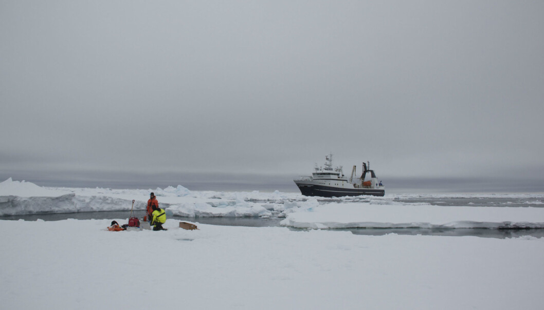 Forskerne måler konsentrasjon av nitrat, et viktig næringsstoff i havet, både der sjøen er fullstendelig dekket av is, delvis under is og i åpent farvann. Her fra et tokt med forskningsskipet Helmer Hanssen. (Foto: Birgit Nesheim) Forskerne måler konsentrasjon av nitrat, et viktig næringsstoff i havet, både der sjøen er fullstendelig dekket av is, delvis under is og i åpent farvann. Her fra et tokt med forskningsskipet Helmer Hanssen. (Foto: Birgit Nesheim)