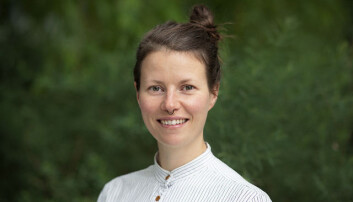 Tine Eide. (Foto: OsloMet) Tine Eide. (Foto: OsloMet)