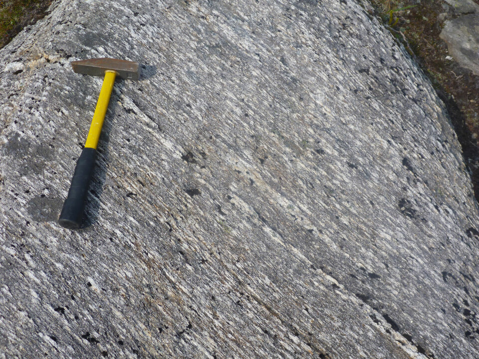 En stripet struktur av sillimanitt i gneisene vitner om sterke krefter som har formet bergartene dypt i jordskorpa. (Foto: Ane Engvik / NGU)
