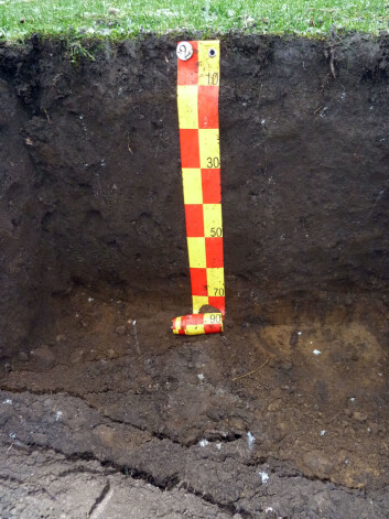 Jordprofil av Anthrosol på Jæren. Jorda har høyt innhold av organisk materiale helt ned til 70 centimeter. (Foto: Sebastian Eiter, NIBIO) Jordprofil av Anthrosol på Jæren. Jorda har høyt innhold av organisk materiale helt ned til 70 centimeter. (Foto: Sebastian Eiter, NIBIO)