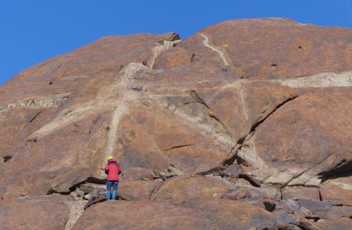 Geologisk feltarbeid i Dronning Maud Land - mørk charnokitt omvandles langs årer gjennom berget. (Foto: Ane K. Engvik) Geologisk feltarbeid i Dronning Maud Land - mørk charnokitt omvandles langs årer gjennom berget. (Foto: Ane K. Engvik)