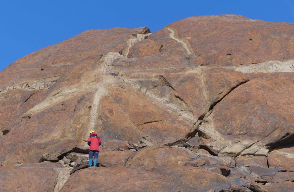 Geologisk feltarbeid i Dronning Maud Land - mørk charnokitt omvandles langs årer gjennom berget. (Foto: Ane K. Engvik)