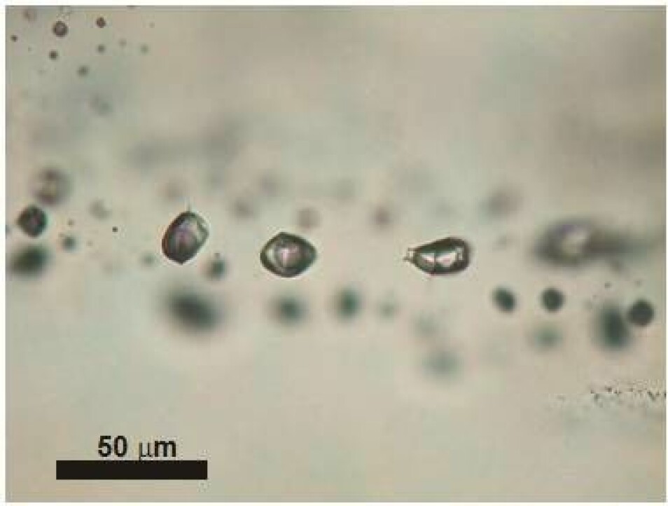 Bildet er tatt under mikroskopet og viser hvordan rester etter væskene ligger bevart i små porer i mineralkornene. (Foto: Ane K. Engvik)