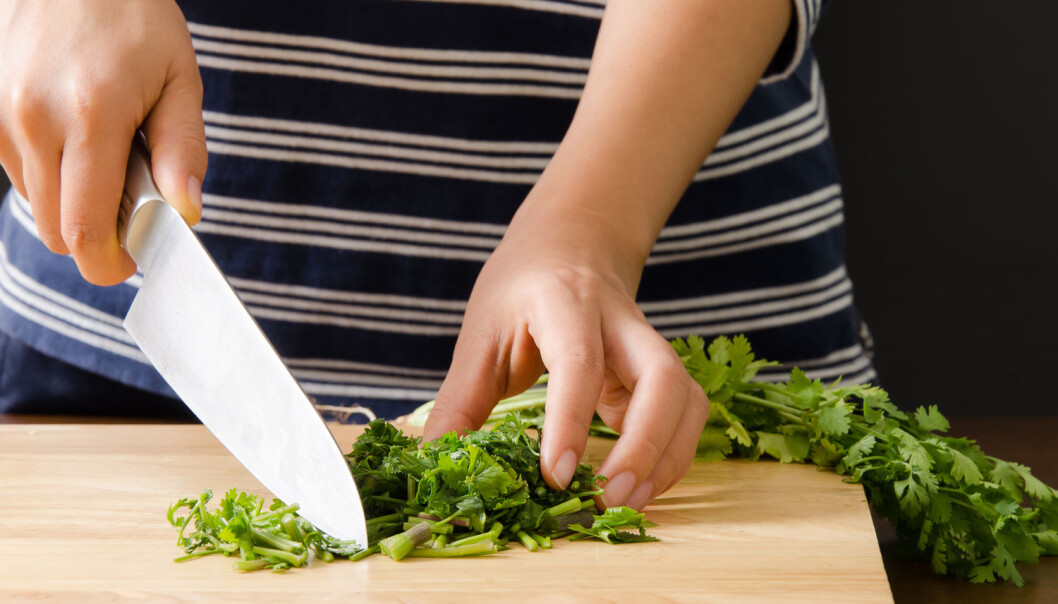 For noen mennesker smaker koriander helt avskyelig. Men hvorfor frembringer den lille urten kvalme hos noen, mens andre elsker den? (Foto: Nungning20 / Shutterstock / NTB scanpix) For noen mennesker smaker koriander helt avskyelig. Men hvorfor frembringer den lille urten kvalme hos noen, mens andre elsker den? (Foto: Nungning20 / Shutterstock / NTB scanpix)