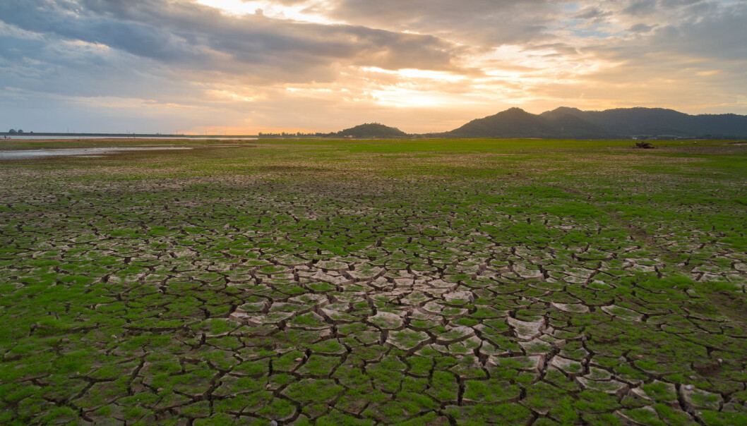 Klimaet endrer verden og fordelingen av de dyrene og plantene som mennesker lever av. Vi må også tilpasse oss, advarer forskere. (Foto: Issarawat Tattong / Shutterstock / NTB scanpix) Klimaet endrer verden og fordelingen av de dyrene og plantene som mennesker lever av. Vi må også tilpasse oss, advarer forskere. (Foto: Issarawat Tattong / Shutterstock / NTB scanpix)