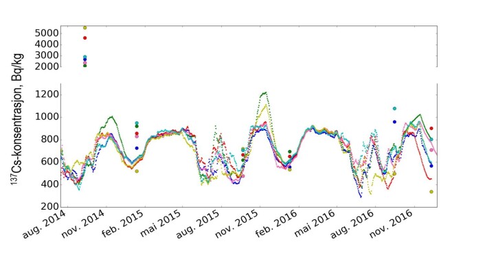 Figur 2: Dei prikka linene viser modellerte cesium-konsentrasjonar i 6 reinsdyr i Vågå frå sommaren 2014 til desember 2016, mens punkta viser målte verdiar i dei same dyra i september og i desember/januar kvart år. Hausten 2014 var det svært mykje sopp, mens det var svært lite hausten 2015. Hausten 2016 var det noko meir sopp enn i 2015. Figur 2: Dei prikka linene viser modellerte cesium-konsentrasjonar i 6 reinsdyr i Vågå frå sommaren 2014 til desember 2016, mens punkta viser målte verdiar i dei same dyra i september og i desember/januar kvart år. Hausten 2014 var det svært mykje sopp, mens det var svært lite hausten 2015. Hausten 2016 var det noko meir sopp enn i 2015.
