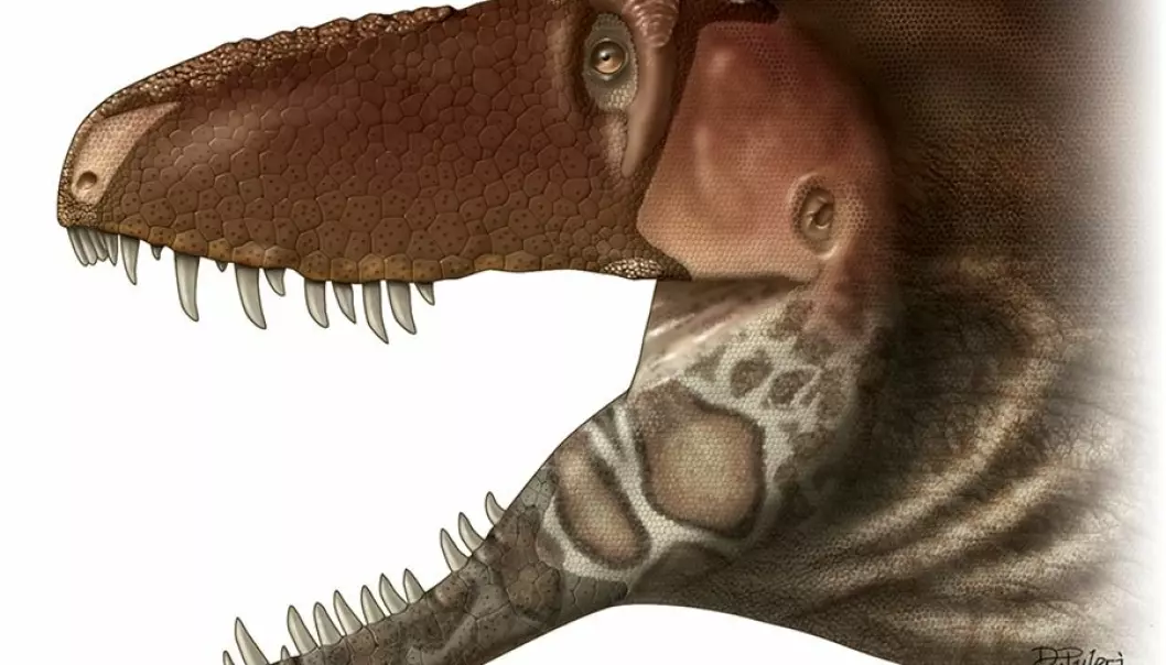 Denne tyrannosaur-varianten kan ha vært veldig sensitiv.  (Bilde: Dino Pulerà)