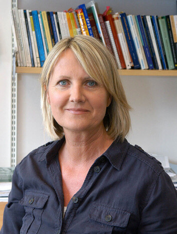 Kristin Haraldstad, førsteamanuensis ved Universitetet i Agder. (Foto: UiA) Kristin Haraldstad, førsteamanuensis ved Universitetet i Agder. (Foto: UiA)
