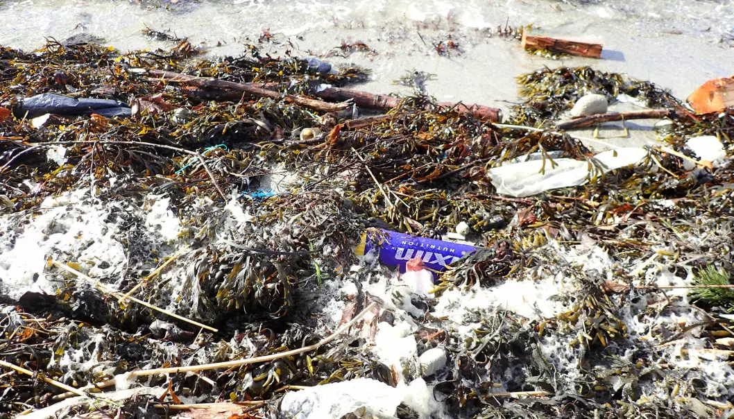Mengder av plast ender opp i havet. Plasten brytes ned til stadig mindre biter, såkalt mikroplast. Forskere undersøker nå hvordan plasten sprer seg og påvirker havene våre.  (Foto: NGI)
