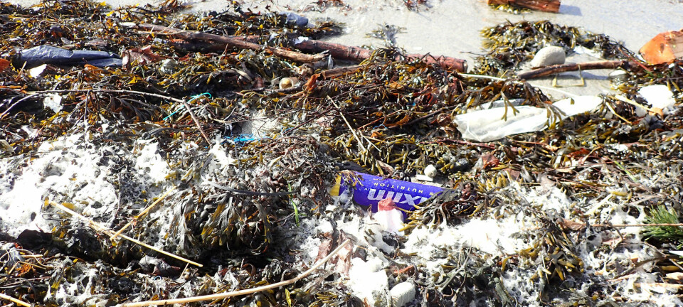 Mengder av plast ender opp i havet. Plasten brytes ned til stadig mindre biter, såkalt mikroplast. Forskere undersøker nå hvordan plasten sprer seg og påvirker havene våre.  (Foto: NGI)