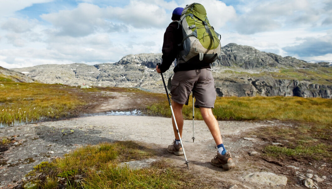 Vi er mer på tur i skog og fjell enn før, ifølge en ny rapport. (Foto: Galyna Andrushko / Shutterstock / NTB scanpix) Vi er mer på tur i skog og fjell enn før, ifølge en ny rapport. (Foto: Galyna Andrushko / Shutterstock / NTB scanpix)