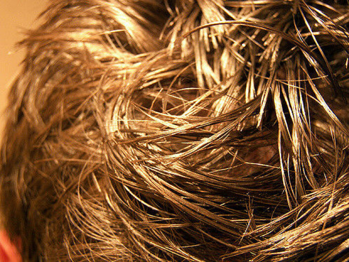 Foto: Ferraresso (Flickr) Foto: Ferraresso (Flickr)