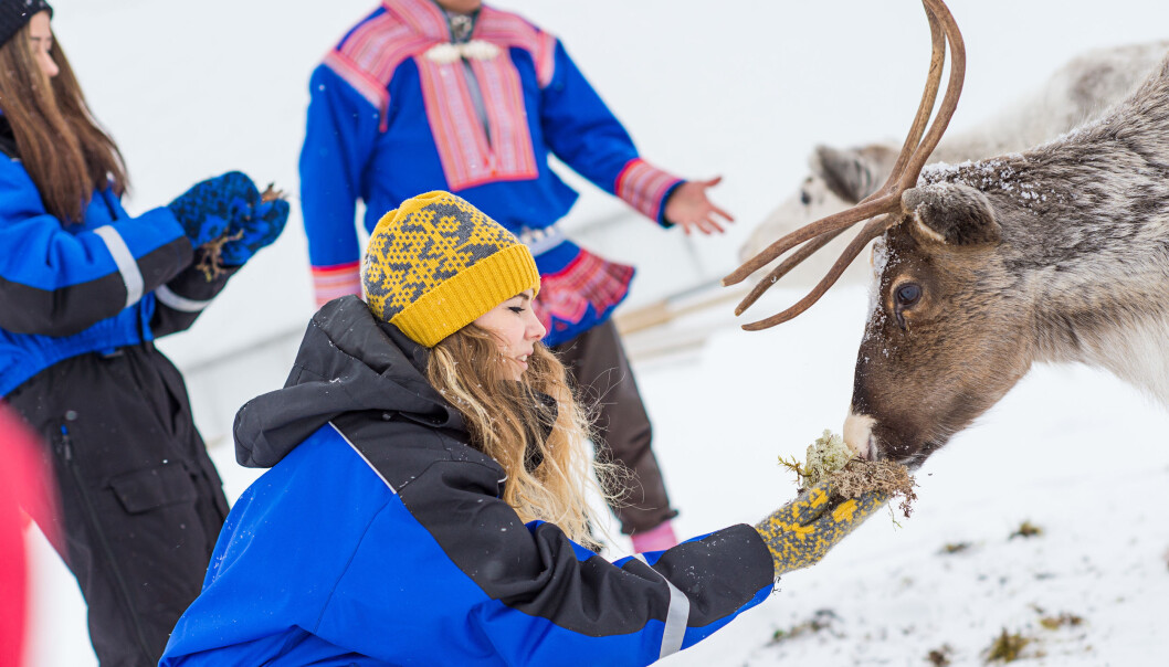 Entreprenører i samiske områder skal tilby natur- og kulturopplevelser og Norut forsker sammen med dem. (Foto: Ørjan Bertelsen/www.Nordnorge.com/Kautokeino) Entreprenører i samiske områder skal tilby natur- og kulturopplevelser og Norut forsker sammen med dem. (Foto: Ørjan Bertelsen/www.Nordnorge.com/Kautokeino)