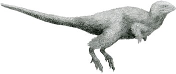 Denne krabaten heter kulindadromeus, og er blitt funnet i Sibir. Selv om den har rovdyrlignende armer, har den helt klart noe som ligner på fjær. Det stemmer dårlig overens med øglebein og fuglebein-hypotesen. (Foto: (Illustrasjon: Tom Parker / CC BY-SA 4.0)) Denne krabaten heter kulindadromeus, og er blitt funnet i Sibir. Selv om den har rovdyrlignende armer, har den helt klart noe som ligner på fjær. Det stemmer dårlig overens med øglebein og fuglebein-hypotesen. (Foto: (Illustrasjon: Tom Parker / CC BY-SA 4.0))
