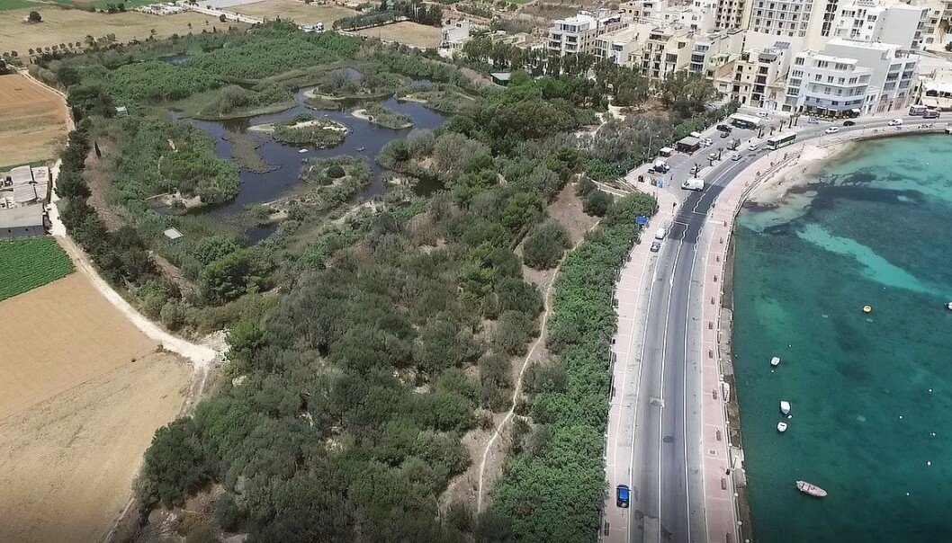 Is-Simar er lite og ligger idyllisk til innerst i St. Paul's Bay. På 80-tallet ble området delvis brukt som søppelplass, men nå er det kanaler, øyer og et yrende fugleliv her. (Foto: BirdLife Malta) Is-Simar er lite og ligger idyllisk til innerst i St. Paul's Bay. På 80-tallet ble området delvis brukt som søppelplass, men nå er det kanaler, øyer og et yrende fugleliv her. (Foto: BirdLife Malta)