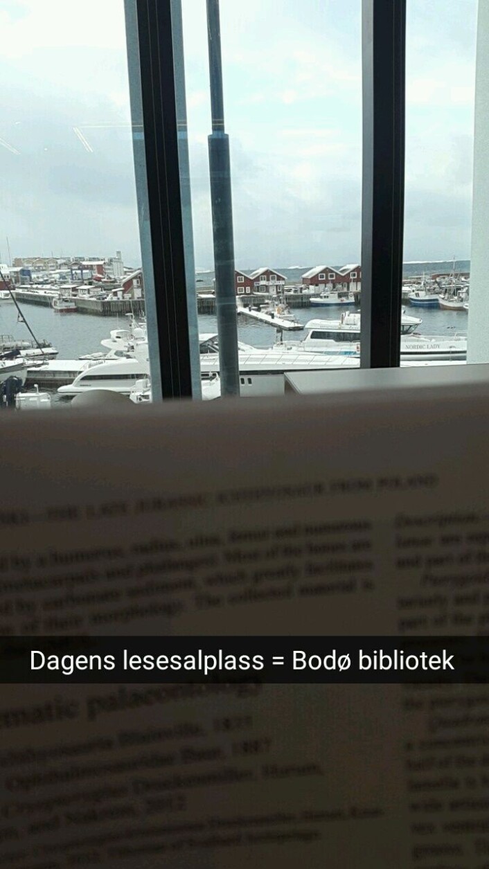 Det er mye lesing i en doktorgrad, og noen utsikter over artikkelkanten er finere enn andre. Foto: LLD Det er mye lesing i en doktorgrad, og noen utsikter over artikkelkanten er finere enn andre. Foto: LLD