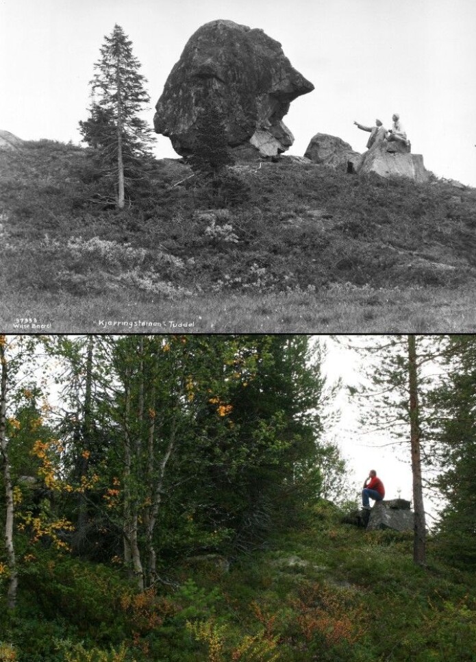 Kjerringsteinen i Tuddal ble gjemt og glemt mellom kratt og trær. Det øverste bildet er fra 1931. Nederst et bilde fra 2008. (Foto: Anders Beer Wilse, Norsk Folkemuseum og Oskar Puschmann, Skog og landskap, lastet ned fra Tilbakeblikk.no, CC BY-NC-ND 3.0) Kjerringsteinen i Tuddal ble gjemt og glemt mellom kratt og trær. Det øverste bildet er fra 1931. Nederst et bilde fra 2008. (Foto: Anders Beer Wilse, Norsk Folkemuseum og Oskar Puschmann, Skog og landskap, lastet ned fra Tilbakeblikk.no, CC BY-NC-ND 3.0)