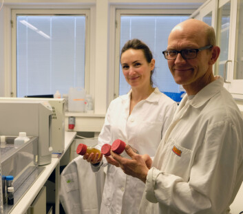 NIBIO-forskerne Erik Joner og Claire Coutris har funnet ut at nanopartikler av jern har en utelukkende positiv effekt på miljøet. (Foto: Kathrine Torday Gulden) NIBIO-forskerne Erik Joner og Claire Coutris har funnet ut at nanopartikler av jern har en utelukkende positiv effekt på miljøet. (Foto: Kathrine Torday Gulden)