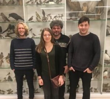 CEES-forskerne: Kjetil Lysne Voje (t.v.), Camilla Lo Cascio Sætre, Glenn-Peter Sætre og Fabrice Eroukhmanoff. (Foto: CEES) CEES-forskerne: Kjetil Lysne Voje (t.v.), Camilla Lo Cascio Sætre, Glenn-Peter Sætre og Fabrice Eroukhmanoff. (Foto: CEES)