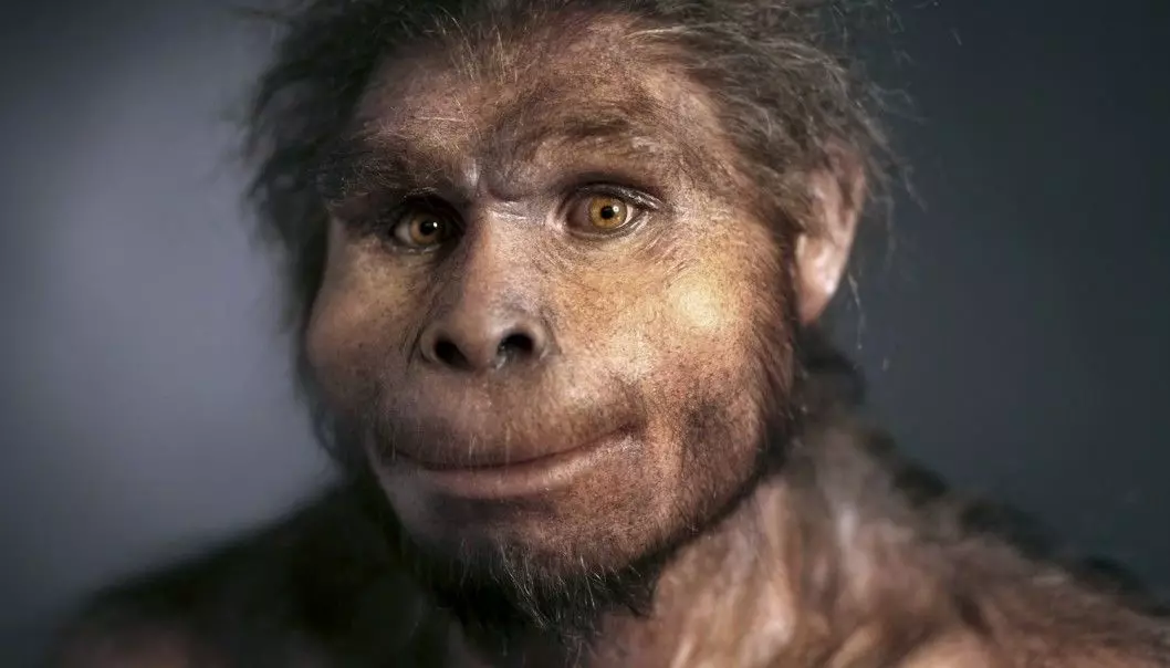For cirka 1,9 millioner år siden overtok Homo erectus sine forfedres metoder for å lage verktøy. Lite skjedde på verktøyfronten de neste 1,7 millioner årene. (Foto: Science Photo Library/NTB Scanpix)