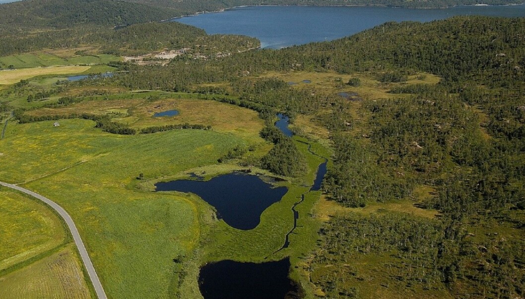 Etter massiv gjengroing ble det på slutten av 90-tallet satt i gang restaurering av Børselva i Ballangen kommune i Nordland. (Foto: NIVA) Etter massiv gjengroing ble det på slutten av 90-tallet satt i gang restaurering av Børselva i Ballangen kommune i Nordland. (Foto: NIVA)